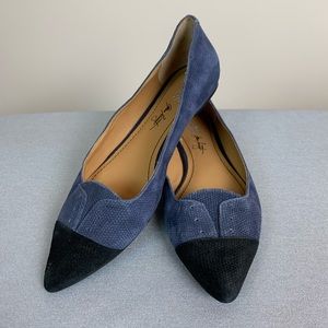 ABS Allen Schwartz Bennie Blue Pointed Toe Flats